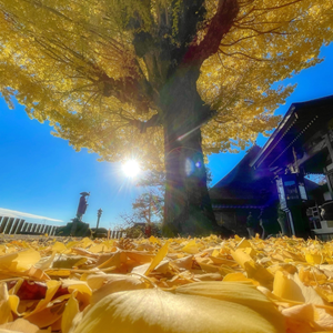 高野山麓いと楽しインスタグラム