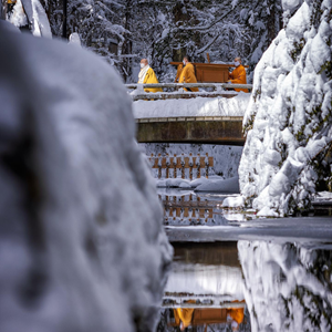 高野山麓いと楽しインスタグラム