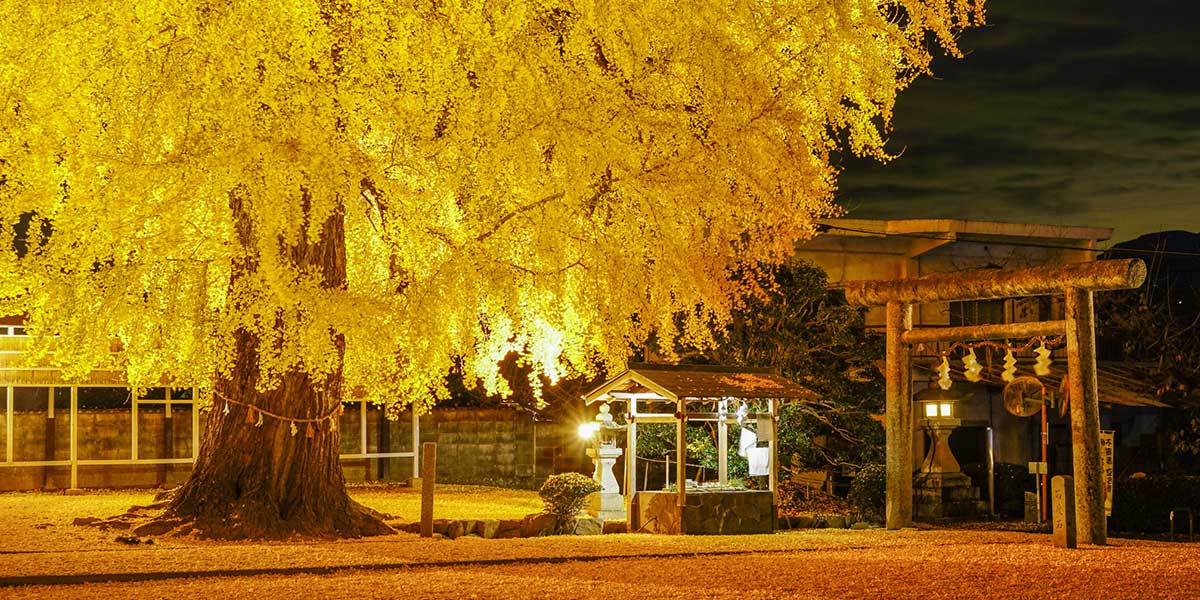 丹生酒殿神社・かつらぎ町三谷