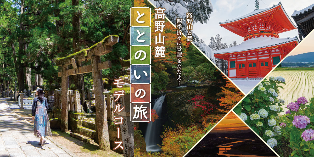 高野・山麓ととのい旅|モデルコース